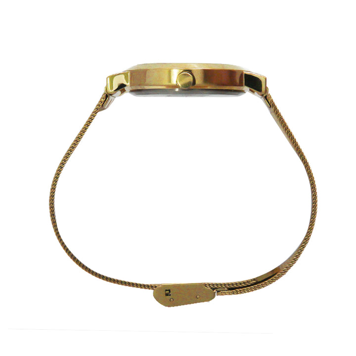 Caroline 3-Hand 34mm Stainless Steel Band