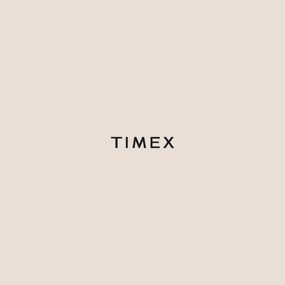 Q Timex 1972 Reissue Date 39mm Leather Band